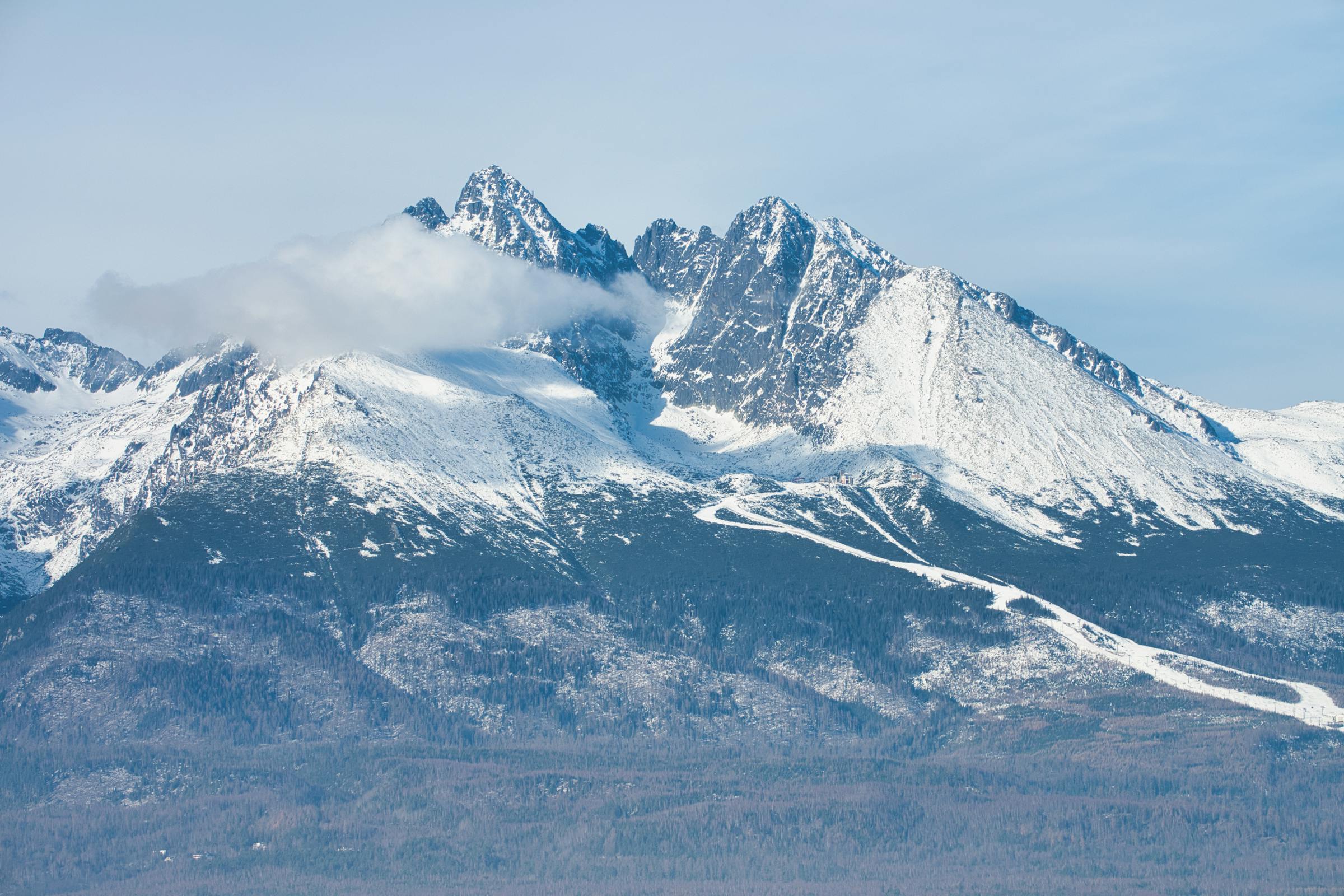 Mastering the Job Market: Essential Strategies for Securing High-Demand Careers - How to Get a Good Job Fast: The Complete Step-by-Step Guide
